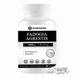 Private Label Fadogia Agrestis Extract Capsules