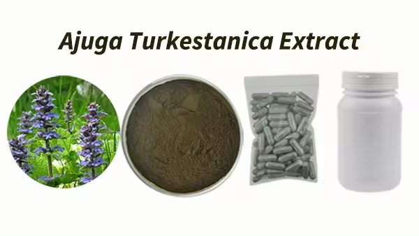 Ajuga Turkestanica Extract