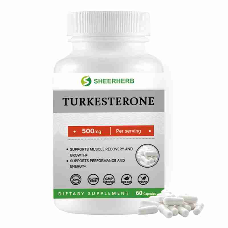 Turkesterone Capsules OEM Manufacturer