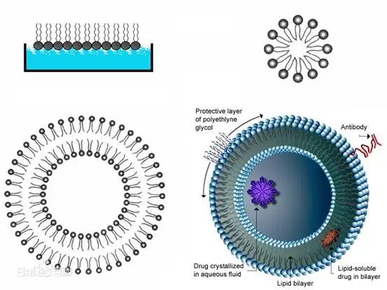 Liposomal